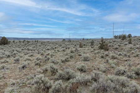 Eastern Oregon Sage Hen Farms Located in Hines - image 44