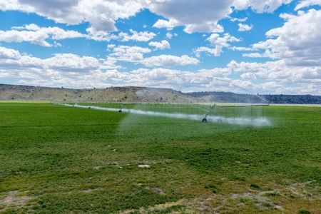 Eastern Oregon Sage Hen Farms Located in Hines - image 10