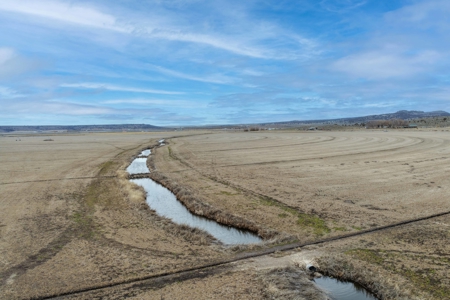 Eastern Oregon Sage Hen Farms Located in Hines - image 38