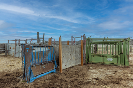 Eastern Oregon Sage Hen Farms Located in Hines - image 18
