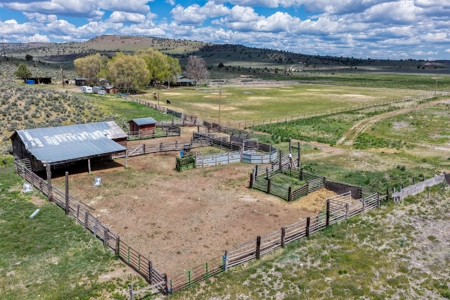 Eastern Oregon Sage Hen Farms Located in Hines - image 13