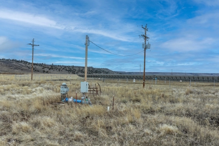 Eastern Oregon Sage Hen Farms Located in Hines - image 34