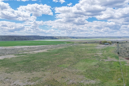 Eastern Oregon Sage Hen Farms Located in Hines - image 2