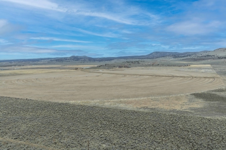 Eastern Oregon Sage Hen Farms Located in Hines - image 37