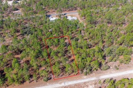 1 Acres Near Rainbow River & Juliette Falls Golf Course - image 1