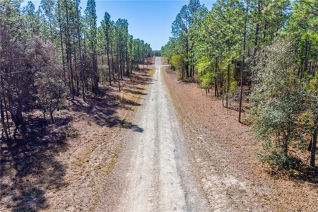 1 Acres Near Rainbow River & Juliette Falls Golf Course - image 4
