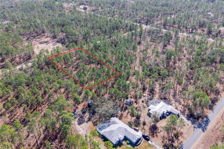 1 Acres Near Rainbow River & Juliette Falls Golf Course - image 2