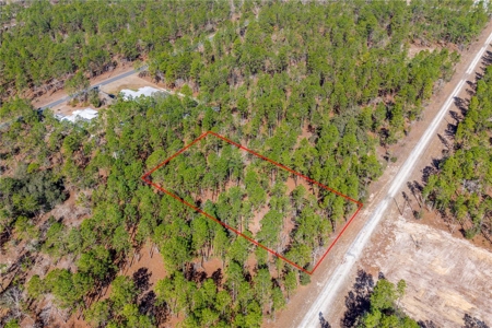 1 Acres Near Rainbow River & Juliette Falls Golf Course - image 3