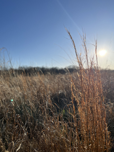 Land For Sale In Stilwell Kansas - image 19