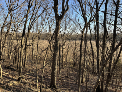 Land For Sale In Stilwell Kansas - image 16