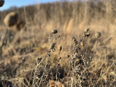 Land For Sale In Stilwell Kansas - image 24