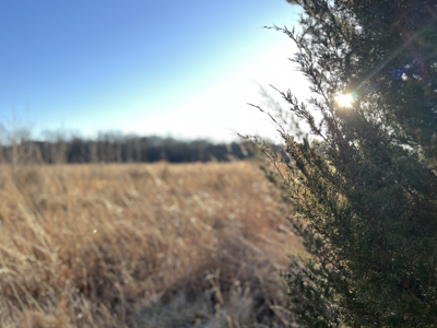 Land For Sale In Stilwell Kansas - image 20