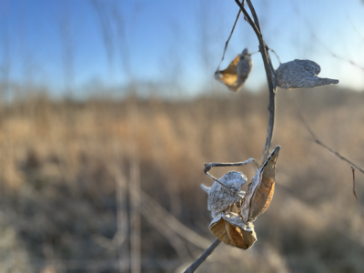 Land For Sale In Stilwell Kansas - image 22