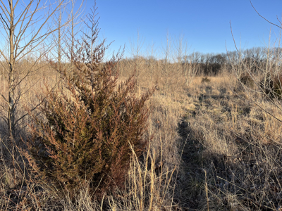 Land For Sale In Stilwell Kansas - image 23