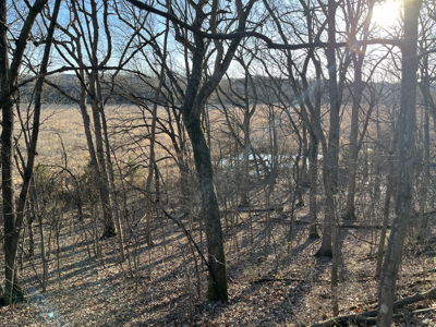 Land For Sale In Stilwell Kansas - image 17