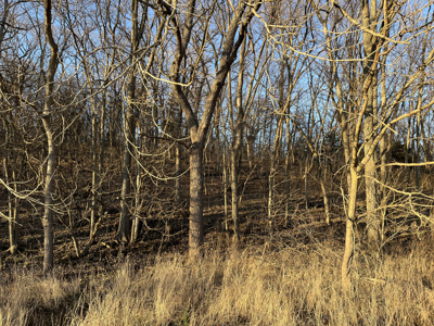 Land For Sale In Stilwell Kansas - image 25