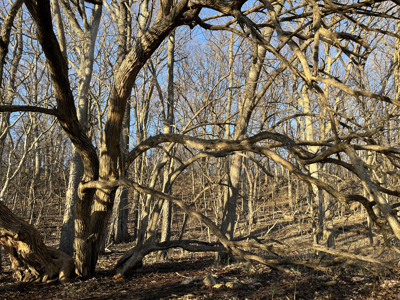 Land For Sale In Stilwell Kansas - image 21