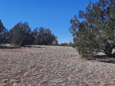 Gorgeous Northern AZ off grid 44.92 acre property - image 14