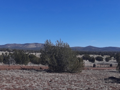 Gorgeous Northern AZ off grid 44.92 acre property - image 4