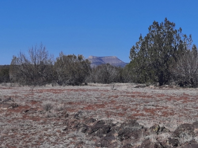 Gorgeous Northern AZ off grid 44.92 acre property - image 7