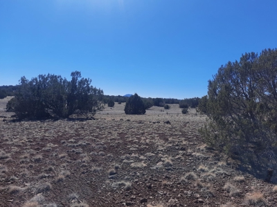 Gorgeous Northern AZ off grid 44.92 acre property - image 3