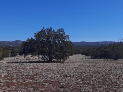 Gorgeous Northern AZ off grid 44.92 acre property - image 10