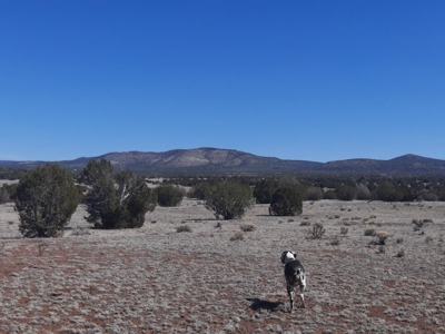 Gorgeous Northern AZ off grid 44.92 acre property - image 1