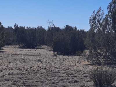 Gorgeous Northern AZ off grid 44.92 acre property - image 13
