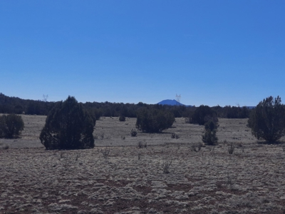 Gorgeous Northern AZ off grid 44.92 acre property - image 2