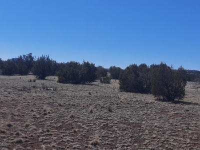 Gorgeous Northern AZ off grid 44.92 acre property - image 11