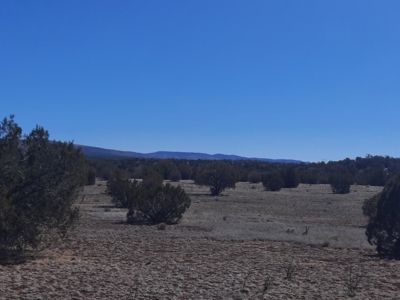 Gorgeous Northern AZ off grid 44.92 acre property - image 5