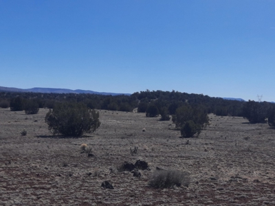 Gorgeous Northern AZ off grid 44.92 acre property - image 6