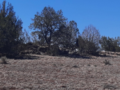 Gorgeous Northern AZ off grid 44.92 acre property - image 15