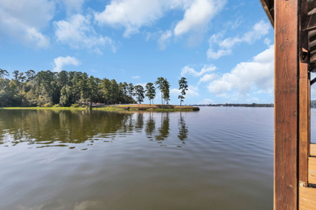 East TX Lakefront Property for Sale with Boathouse near Tyler TX - image 22