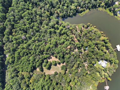 East TX Lakefront Property for Sale with Boathouse near Tyler TX - image 9
