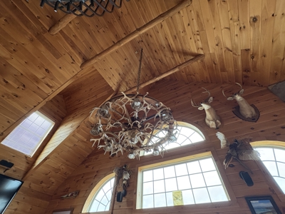 Lewisville, OH Custom Luxury Log Home with Panoramic Views - image 6