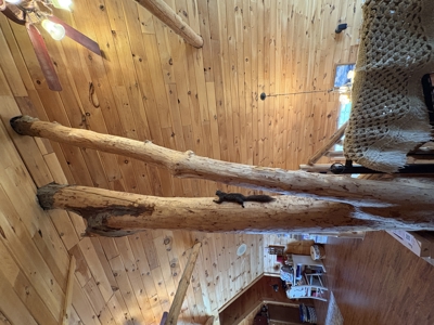 Lewisville, OH Custom Luxury Log Home with Panoramic Views - image 13