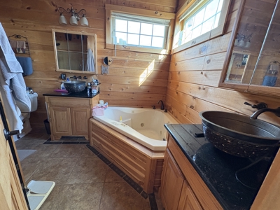 Lewisville, OH Custom Luxury Log Home with Panoramic Views - image 11