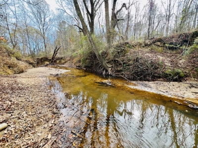 Mature Timber and Wildlife in Prentiss Co., Booneville, MS - image 15