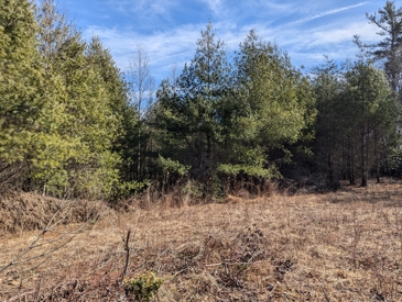 Listing 32