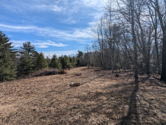 Building Lot for Sale in Hillsville VA