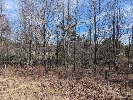 Building Lot for Sale in Hillsville VA
