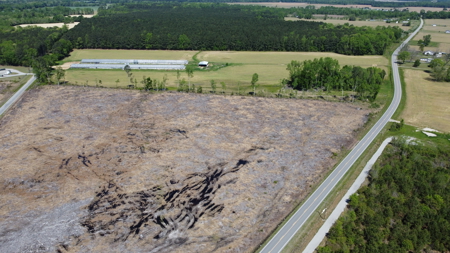 Vacant Lot for Sale in Whitakers, NC - 17.58 Acres - image 5
