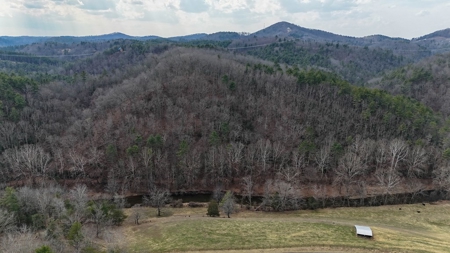 144.8± Acres with Creek, Timber & Mountain Views in VA - image 15