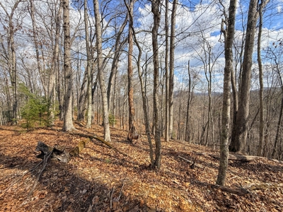 144.8± Acres with Creek, Timber & Mountain Views in VA - image 19