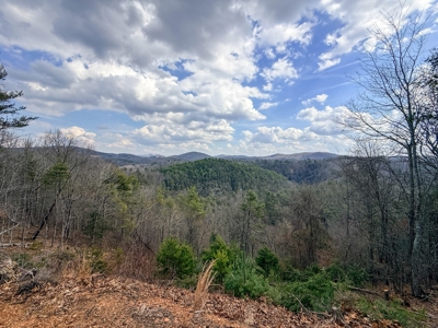 144.8± Acres with Creek, Timber & Mountain Views in VA - image 25