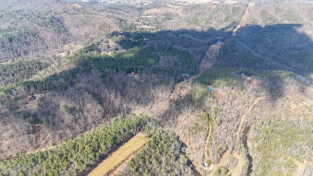 144.8± Acres with Creek, Timber & Mountain Views in VA - image 3