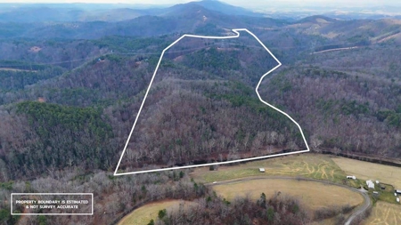 144.8± Acres with Creek, Timber & Mountain Views in VA - image 1