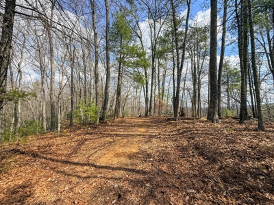 144.8± Acres with Creek, Timber & Mountain Views in VA - image 16