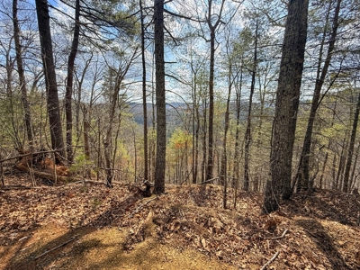 144.8± Acres with Creek, Timber & Mountain Views in VA - image 24